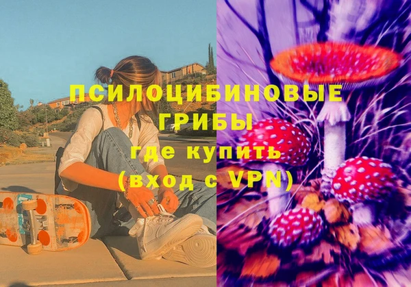 мет Корсаков