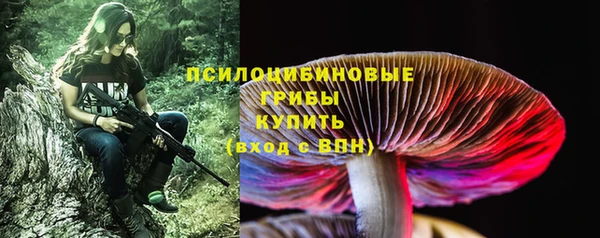 a pvp Коряжма