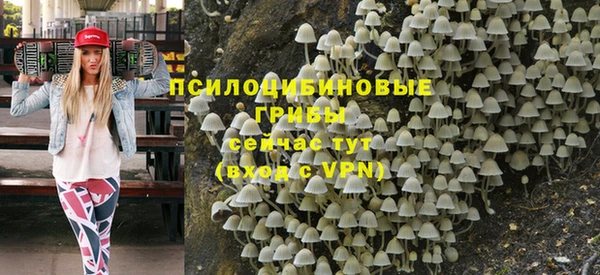 a pvp Коряжма