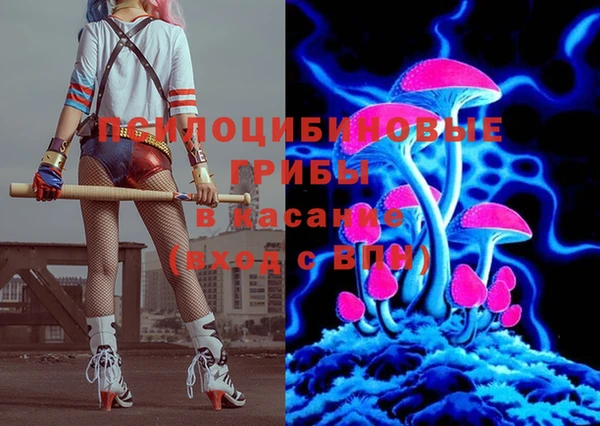 a pvp Коряжма