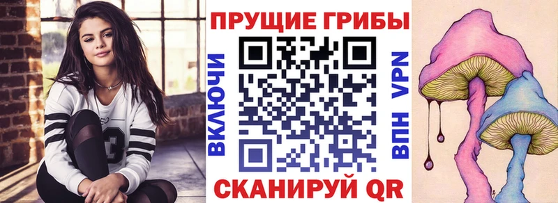 Галлюциногенные грибы Psilocybe  Купить закладки  Бузулук 